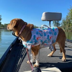 Like New Vivaglory Dog Life Preserver Size XL